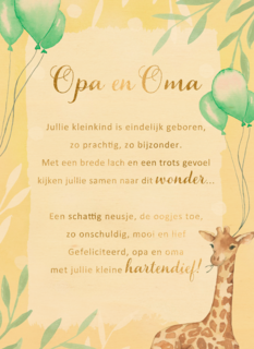 Geboortekaart kleinkind Opa en oma gefeliciteerdMore than words