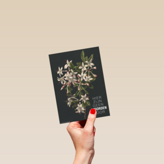 hier zijn geen woorden voor bloemen