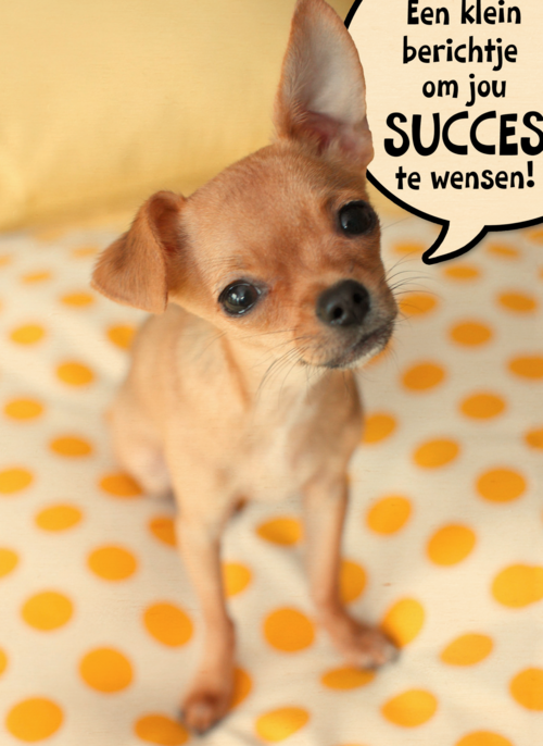 Houten Kaart | Puppy Met Spreekwolk