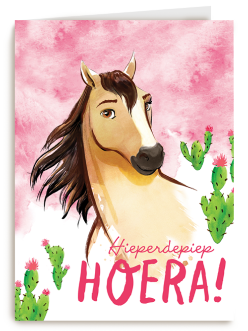 verjaardag kaart spirit hieperdepiep hoera