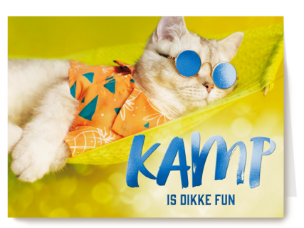 Kamp is dikke fun kat