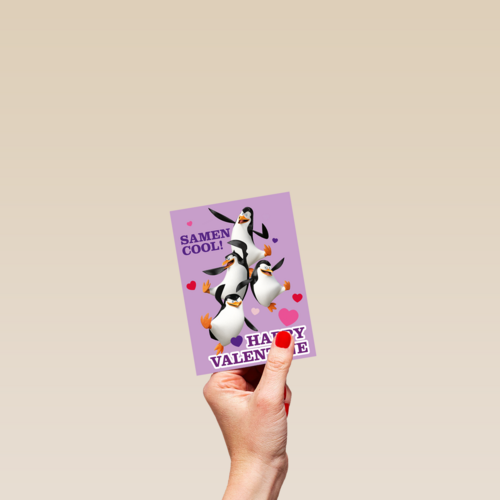Penguins Samen Cool Valentijn