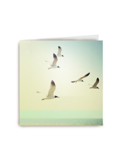 vogels aan het strand