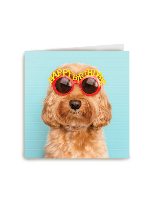 Verjaardagskaart hond met zonnebril