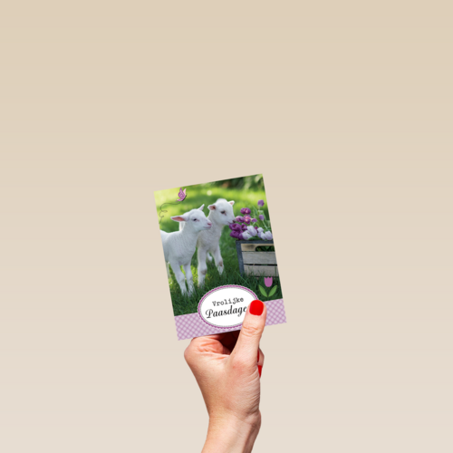 lammetje bloem pasen