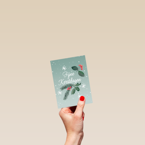 Kerstkaart fijne kerstdagen hulsttak