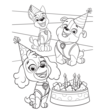 Paw Patrol Kleurboek