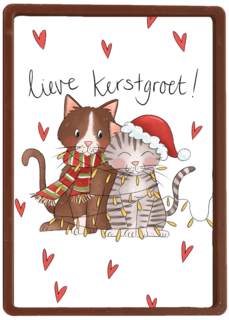 Kerstkaart kat matia studio