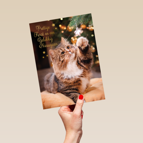 Prettige kerst en gelukkig nieuwjaar kat