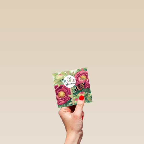 marjolein bastin van harte gefeliciteerd bloemen vlinder