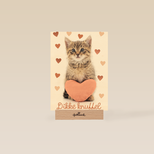Liefde kaart kat met hart en dikke knuffel