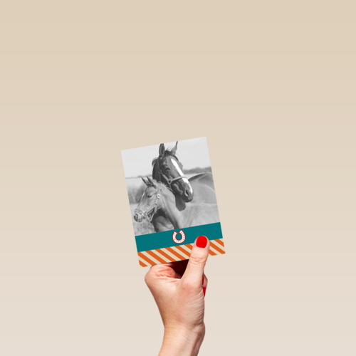 fotokaart voor paarden