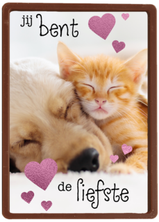 Valentijn Jij bent de liefste hond kat