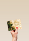Merry Christmas christmastree