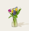 Bloemen Brievenbusboeket Spring is here