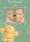 fotokaart forever friends bedankt bedankt