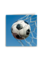 voetbal in het net