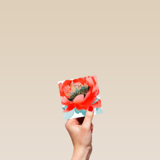 watercolor bloem blanco