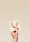 kerstkaart hip rudolph the red nose reindeer
