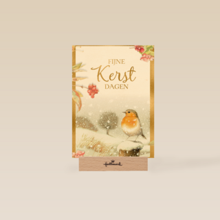 Kerstkaart marjolein bastin winter roodborstje