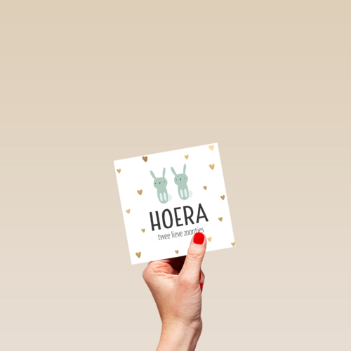 geboorte meerling jongetjes hoera lieve zoontjes