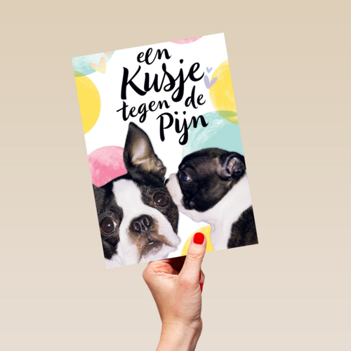 Beterschapskaart Hond Een kusje tegen de pijn