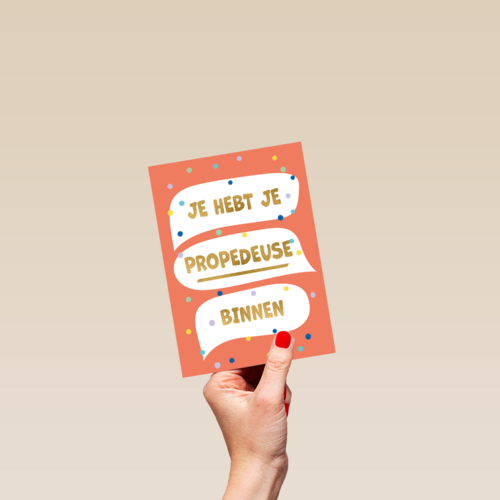 Je hebt je propedeuse binnen