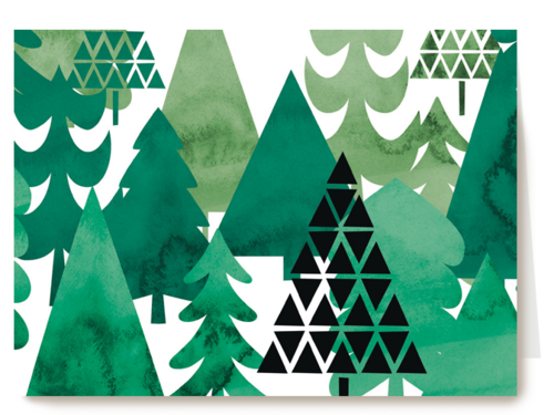 forest full of trees