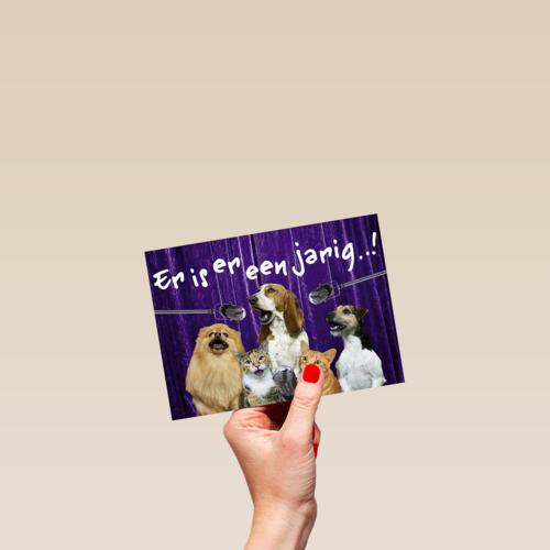 Chromazone Er is er een jarig dieren