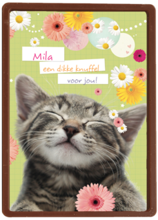 een snoezepoesje voor jou