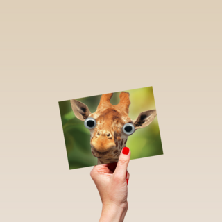 animal fiesta een giraffe met grote ogen