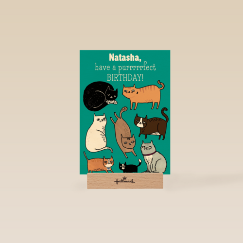verjaardag vrouw grappig have a purrrrfect birthday
