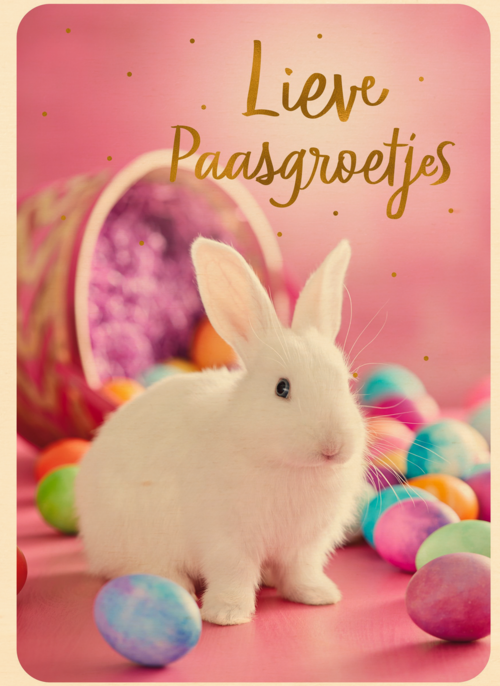 Houten Kaart Pasen | Hallmark | Houten Kaart Hallmark | Pasen | Paaskaart Met Wit Konijntje