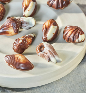 Guylian Chocolade Zeevruchten 22 stuks