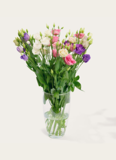 Boeket Bloemen Koninklijke Pracht