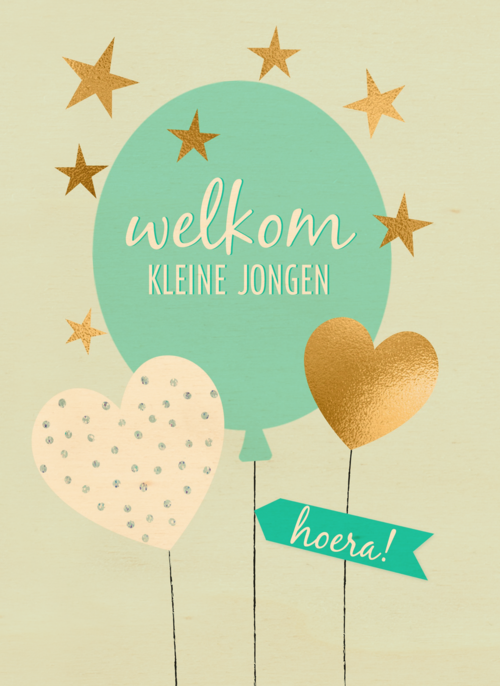 Babykaart zoon Welkom kleine jongen