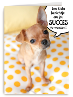puppy met spreekwolk