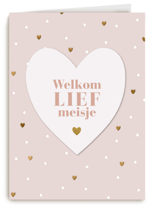 Geboortefelicitatie Welkom lief meisje
