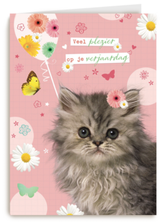 prodo dieren veel plezier op je verjaardag