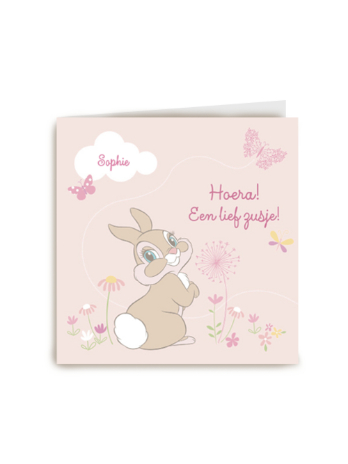 disney baby hoera een lief zusje