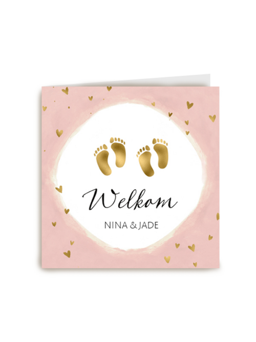 geboorte meerling welkom lieve meisjes