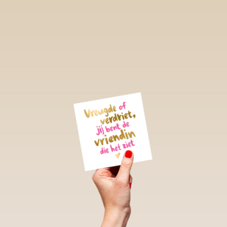 vriendschap kaart jij bent de vriendin die het ziet