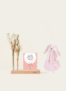 Brievenbuspakket Droogbloemen Baby Girl Roze Met Knuffeldoekje