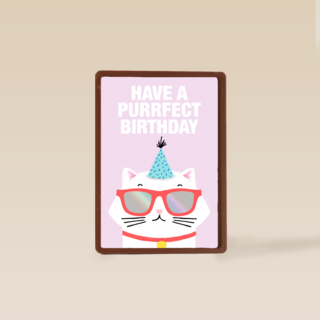 Verjaardagskaart tiener meisje Have a purrfect birthday