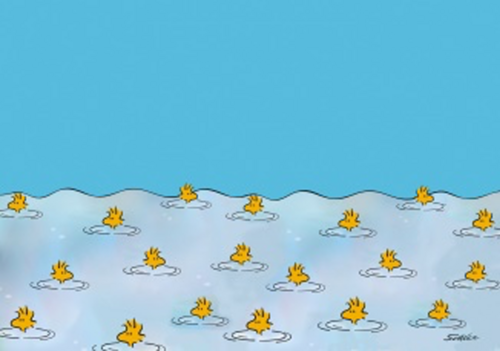 snoopy springt in zwembad