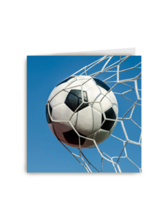 voetbal in het net