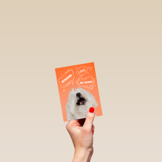 Hond cool op kamp oranje