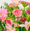 Boeket Bloemen Elisabeth