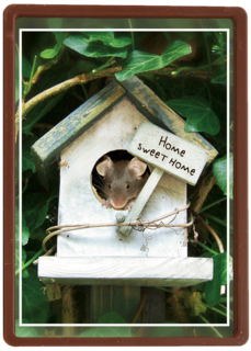 Verhuisd muis huisje