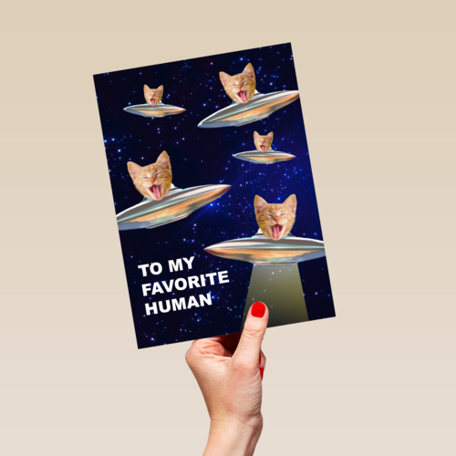 To my favorite human